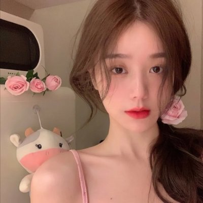 哈利波特:凤凰会的密令 海报