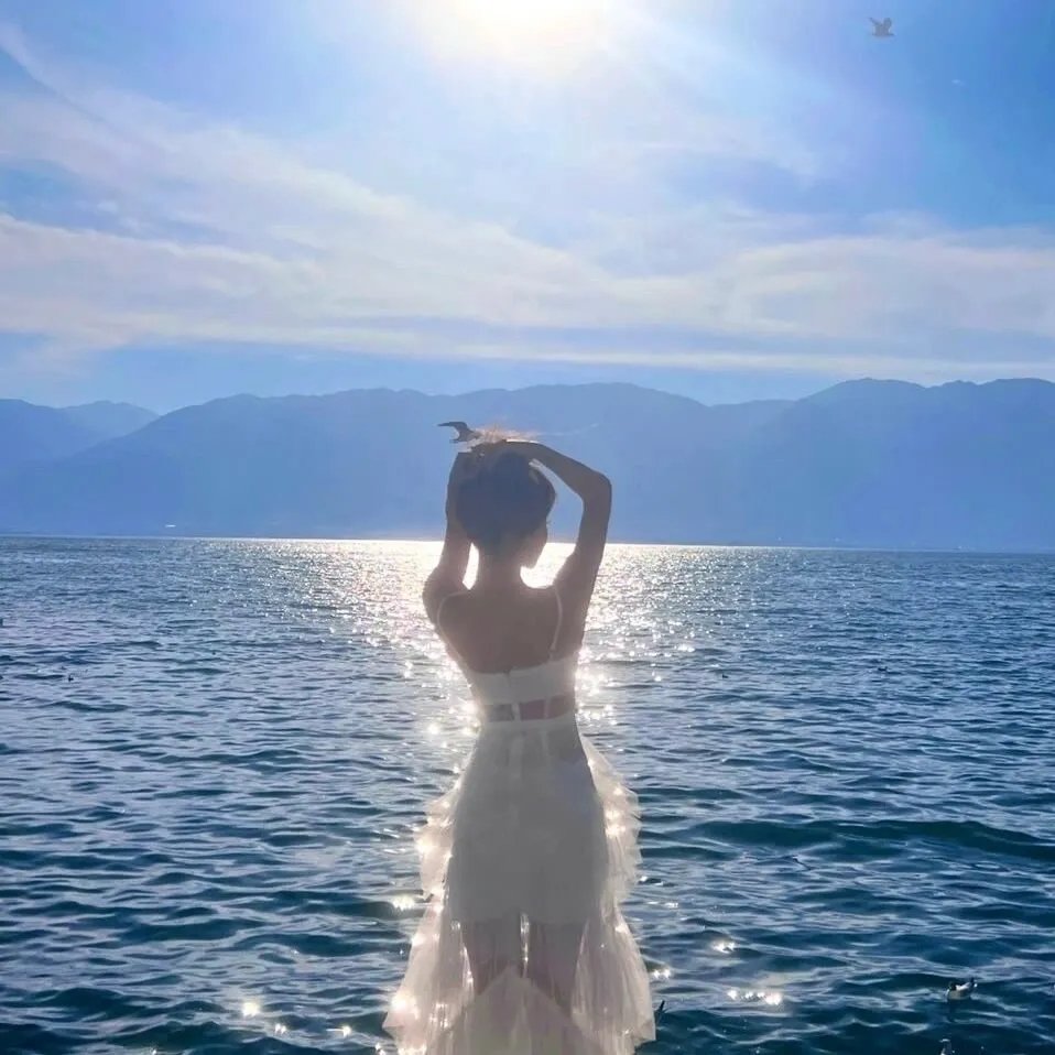 西部联盟 海报